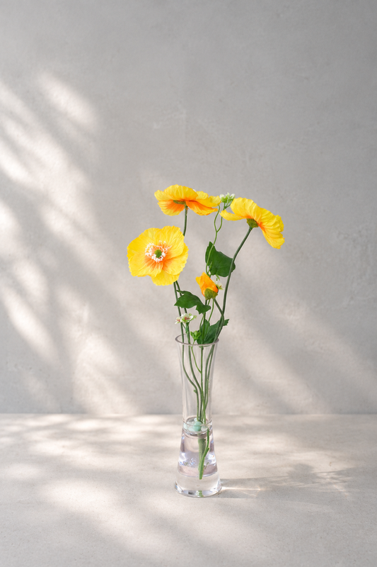 Yellow Poppy
